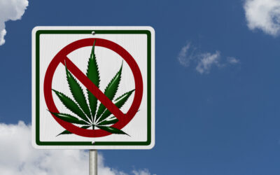 An image of driving under the influence marijuana leaf road sign. Do breathalyzers detect weed?